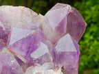 Natural Large Jacaranda Amethyst Crystal Cluster x 1 From Mumbwa, Zambia - Toprock Gemstones and Minerals 