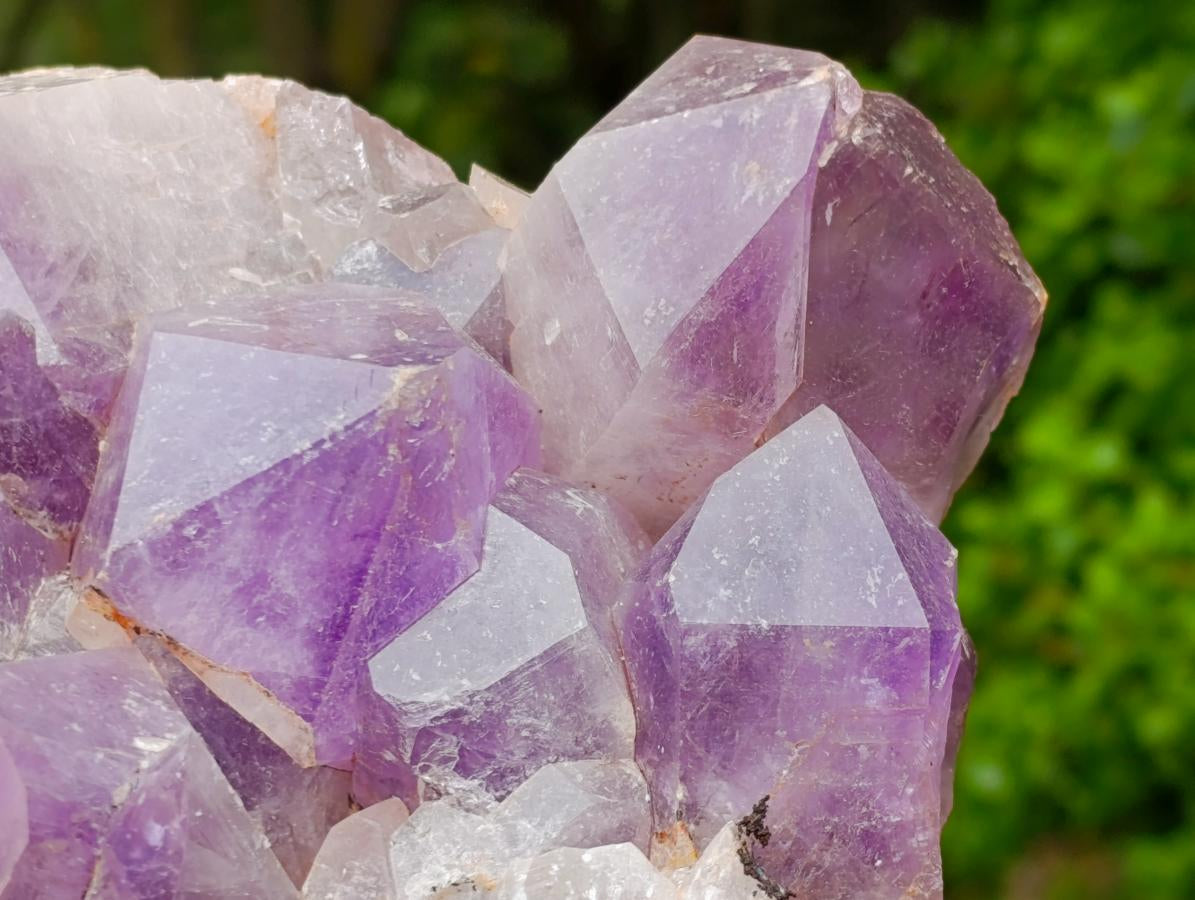 Natural Large Jacaranda Amethyst Crystal Cluster x 1 From Mumbwa, Zambia - Toprock Gemstones and Minerals 