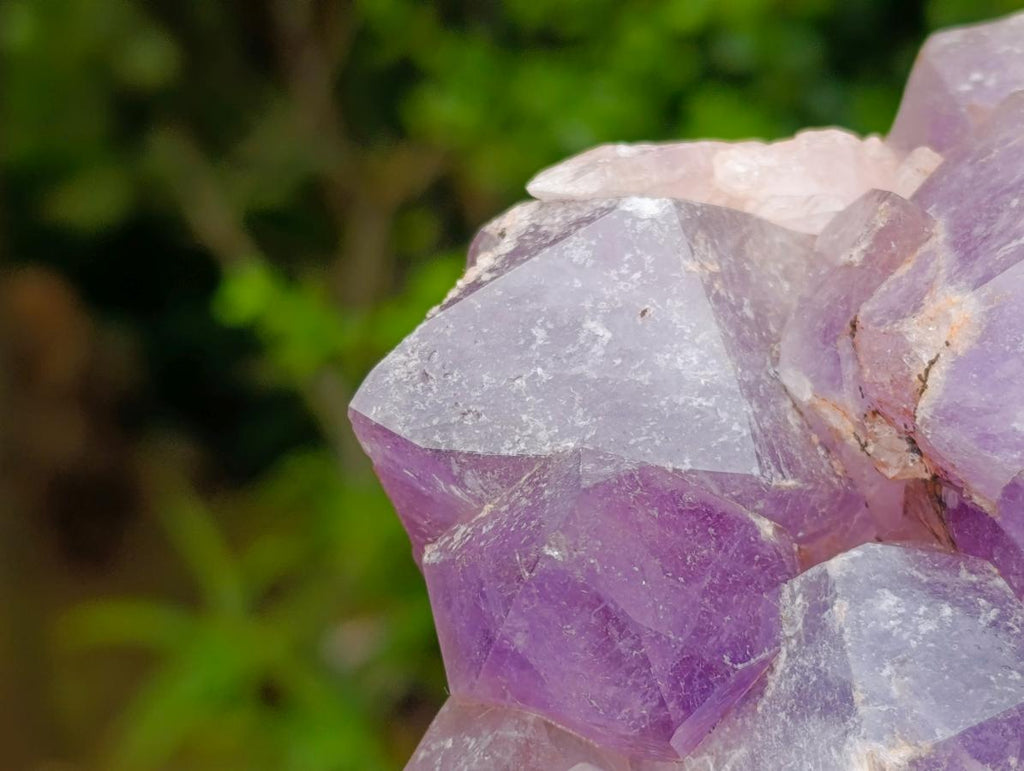 Natural Large Jacaranda Amethyst Crystal Cluster x 1 From Mumbwa, Zambia - Toprock Gemstones and Minerals 