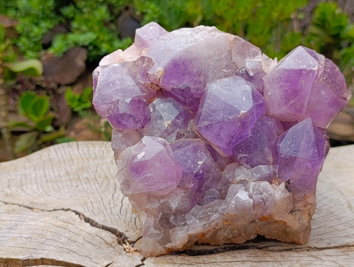 Natural Large Jacaranda Amethyst Crystal Cluster x 1 From Mumbwa, Zambia - Toprock Gemstones and Minerals 