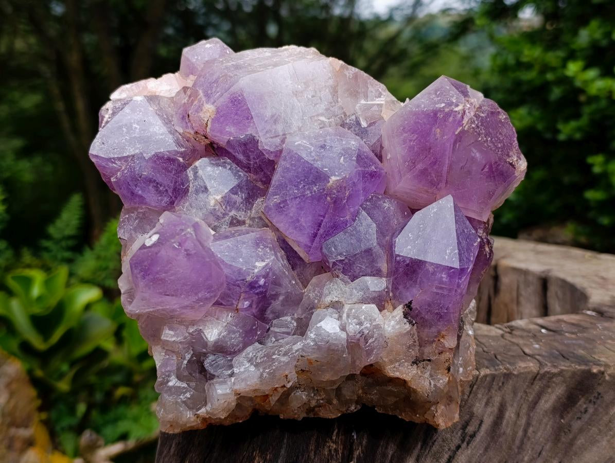 Natural Large Jacaranda Amethyst Crystal Cluster x 1 From Mumbwa, Zambia - Toprock Gemstones and Minerals 