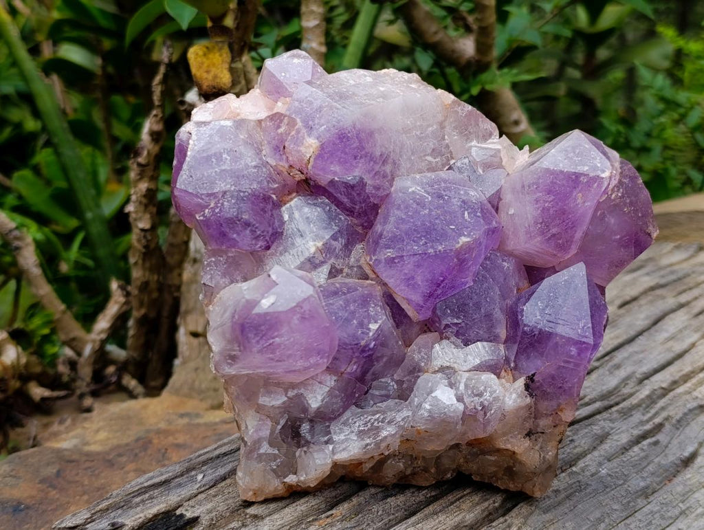 Natural Large Jacaranda Amethyst Crystal Cluster x 1 From Mumbwa, Zambia - Toprock Gemstones and Minerals 