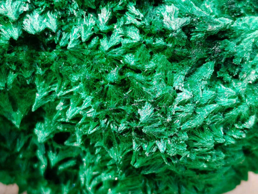 Natural XXL Silky Malachite Specimen x 1 From Kasompe, Congo - Toprock Gemstones and Minerals 