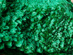 Natural XXL Silky Malachite Specimen x 1 From Kasompe, Congo - Toprock Gemstones and Minerals 