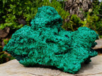 Natural XXL Silky Malachite Specimen x 1 From Kasompe, Congo - Toprock Gemstones and Minerals 