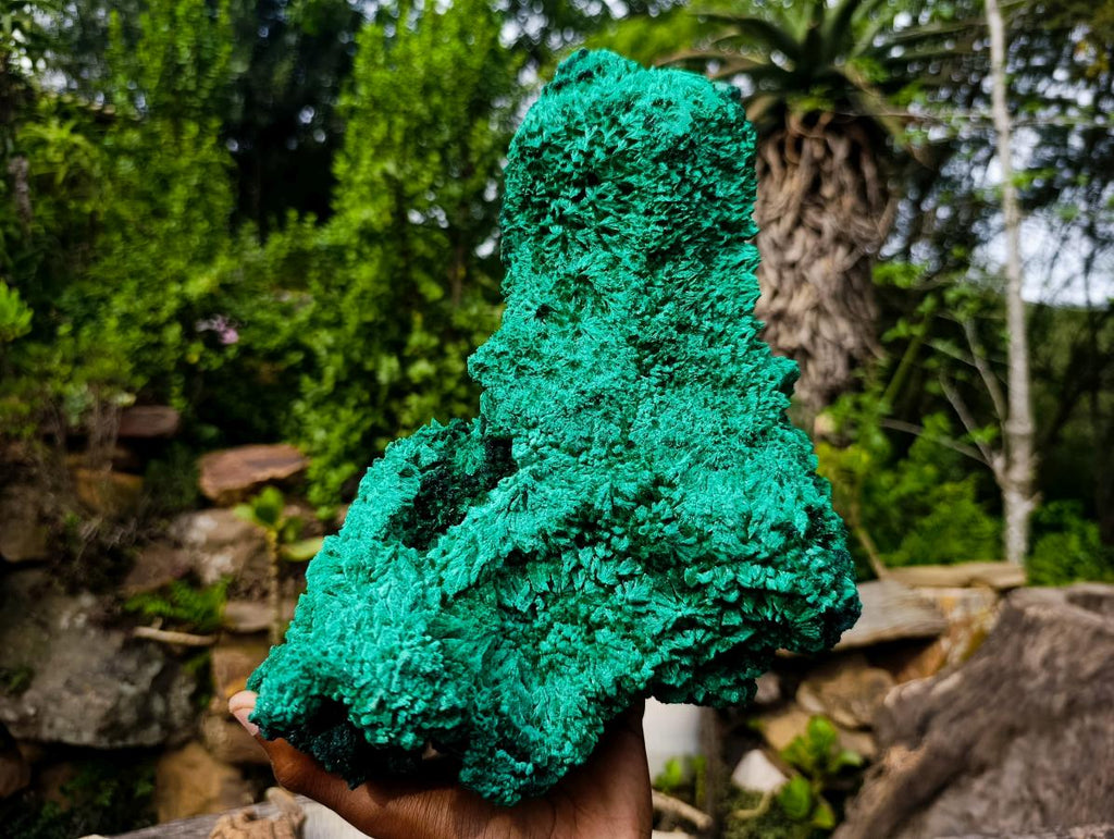 Natural XXL Silky Malachite Specimen x 1 From Kasompe, Congo - Toprock Gemstones and Minerals 