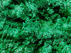 Natural XXL Silky Malachite Specimen x 1 From Kasompe, Congo - Toprock Gemstones and Minerals 