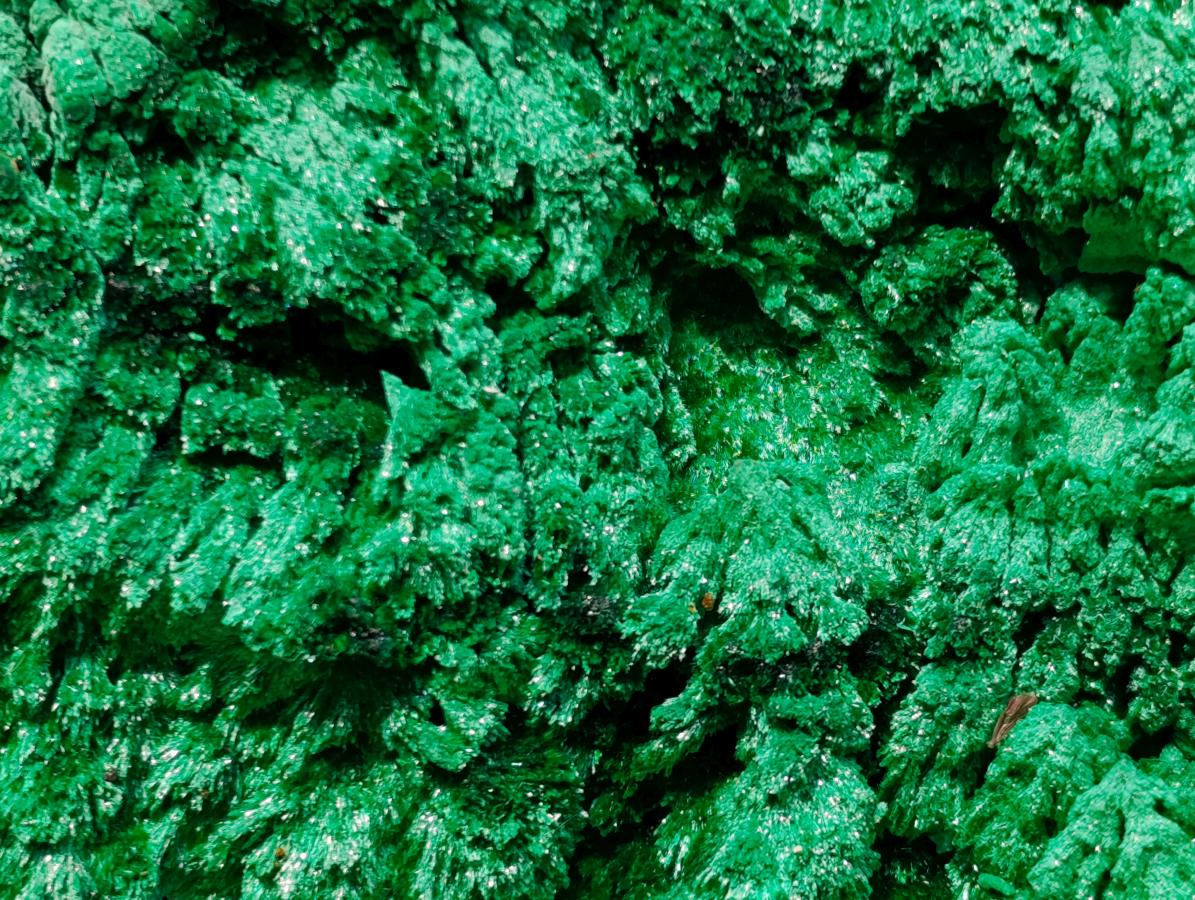Natural XXL Silky Malachite Specimen x 1 From Kasompe, Congo - Toprock Gemstones and Minerals 