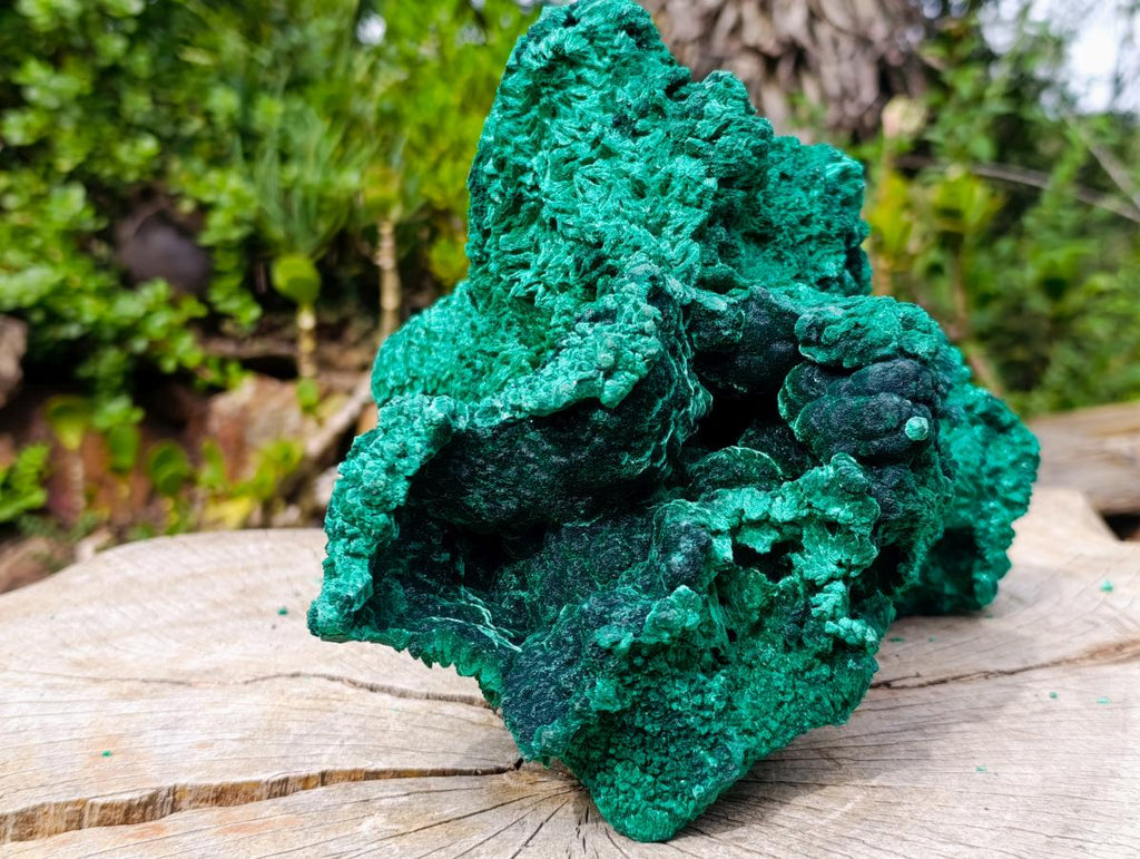 Natural XXL Silky Malachite Specimen x 1 From Kasompe, Congo - Toprock Gemstones and Minerals 