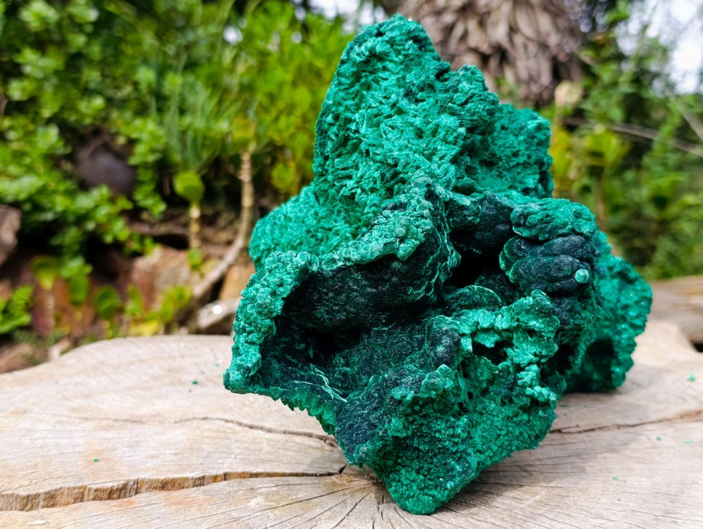 Natural XXL Silky Malachite Specimen x 1 From Kasompe, Congo - Toprock Gemstones and Minerals 