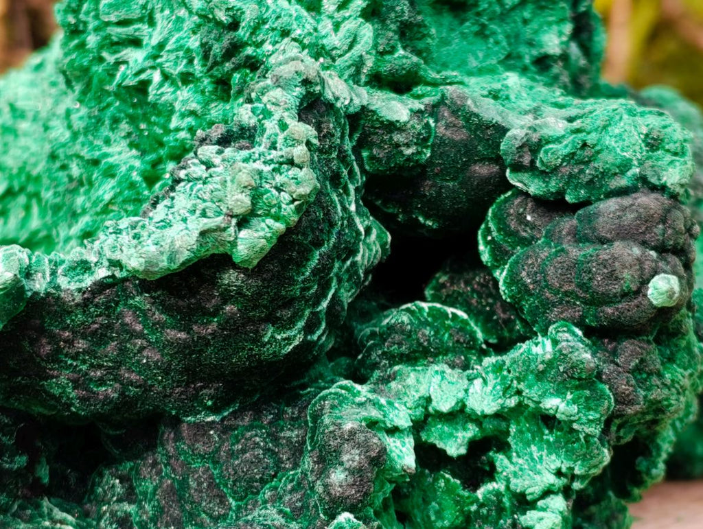 Natural XXL Silky Malachite Specimen x 1 From Kasompe, Congo - Toprock Gemstones and Minerals 