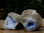 Natural Blue Lace Agate Geode Specimens x 12 From Nsanje, Malawi - Toprock Gemstones and Minerals 