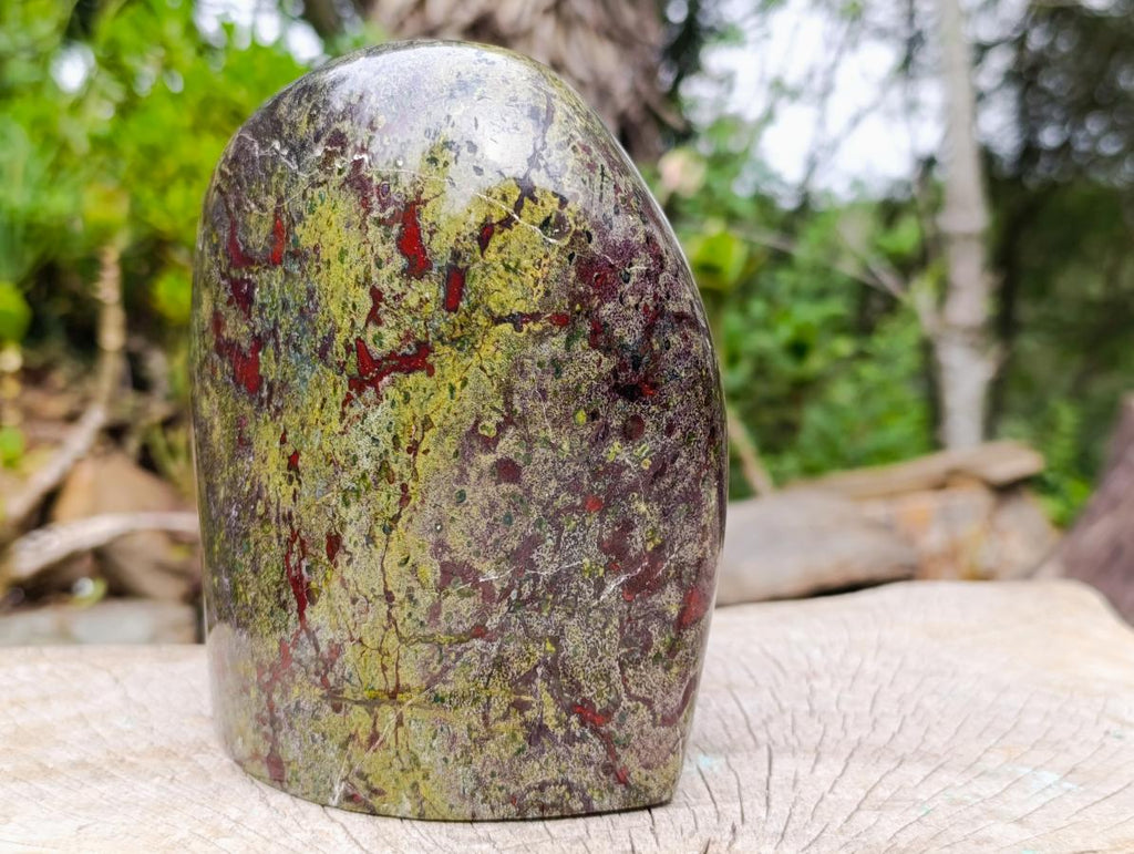 Polished Large Bastite Dragonsblood Stone Standing Display Piece x 1 From Tshipise, South Africa - Toprock Gemstones and Minerals 
