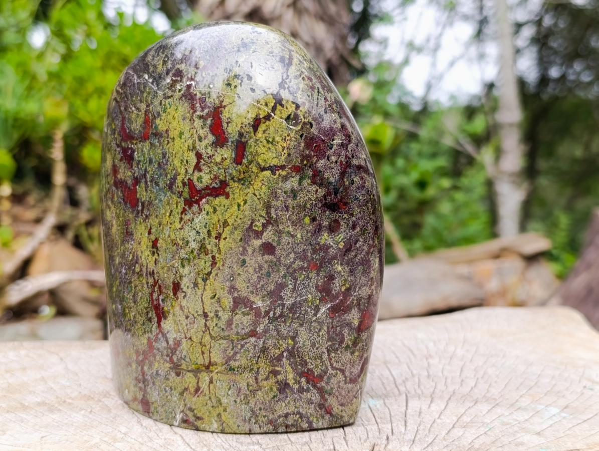 Polished Large Bastite Dragonsblood Stone Standing Display Piece x 1 From Tshipise, South Africa - Toprock Gemstones and Minerals 