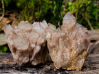 Natural Smokey Phantom Quartz Clusters x 2 From Luena, Congo - Toprock Gemstones and Minerals 