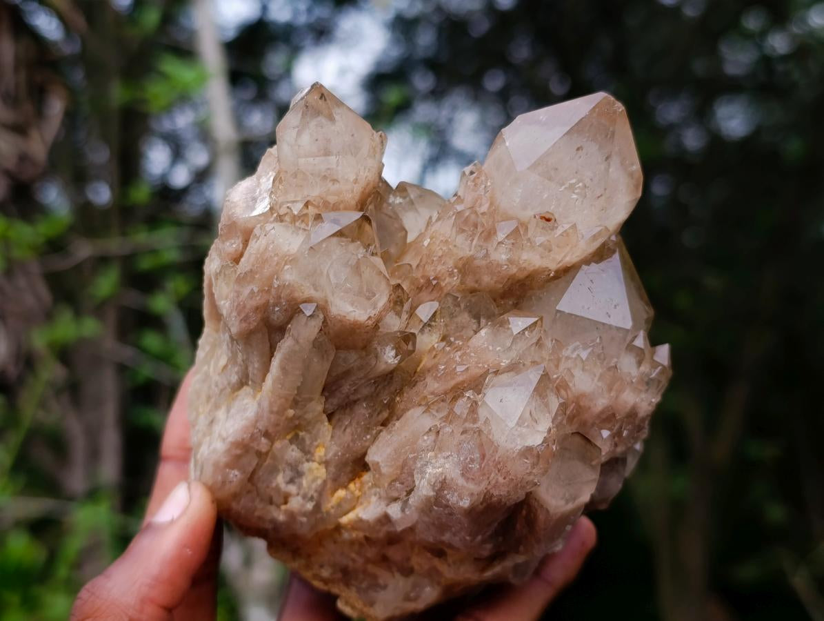 Natural Smokey Phantom Quartz Clusters x 2 From Luena, Congo - Toprock Gemstones and Minerals 