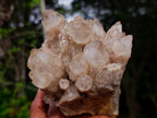 Natural Smokey Phantom Quartz Clusters x 2 From Luena, Congo - Toprock Gemstones and Minerals 