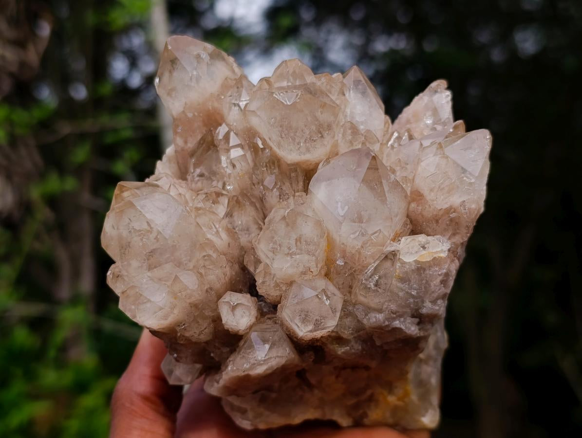 Natural Smokey Phantom Quartz Clusters x 2 From Luena, Congo - Toprock Gemstones and Minerals 