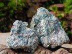 Natural Emerald Mica 'Mutokolite' Cobbed Specimens x 6 From Mutoko, Zimbabwe - Toprock Gemstones and Minerals 