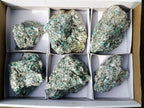 Natural Emerald Mica 'Mutokolite' Cobbed Specimens x 6 From Mutoko, Zimbabwe - Toprock Gemstones and Minerals 