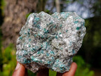 Natural Emerald Mica 'Mutokolite' Cobbed Specimens x 6 From Mutoko, Zimbabwe - Toprock Gemstones and Minerals 