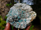 Natural Emerald Mica 'Mutokolite' Cobbed Specimens x 6 From Mutoko, Zimbabwe - Toprock Gemstones and Minerals 