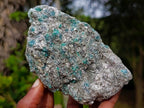 Natural Emerald Mica 'Mutokolite' Cobbed Specimens x 6 From Mutoko, Zimbabwe - Toprock Gemstones and Minerals 
