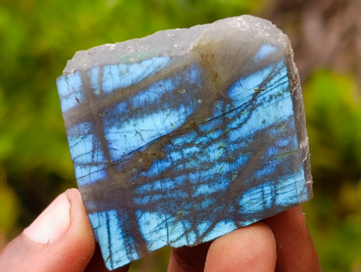 Polished One Side Labradorite Slices x 35 From Madagascar - Toprock Gemstones and Minerals 