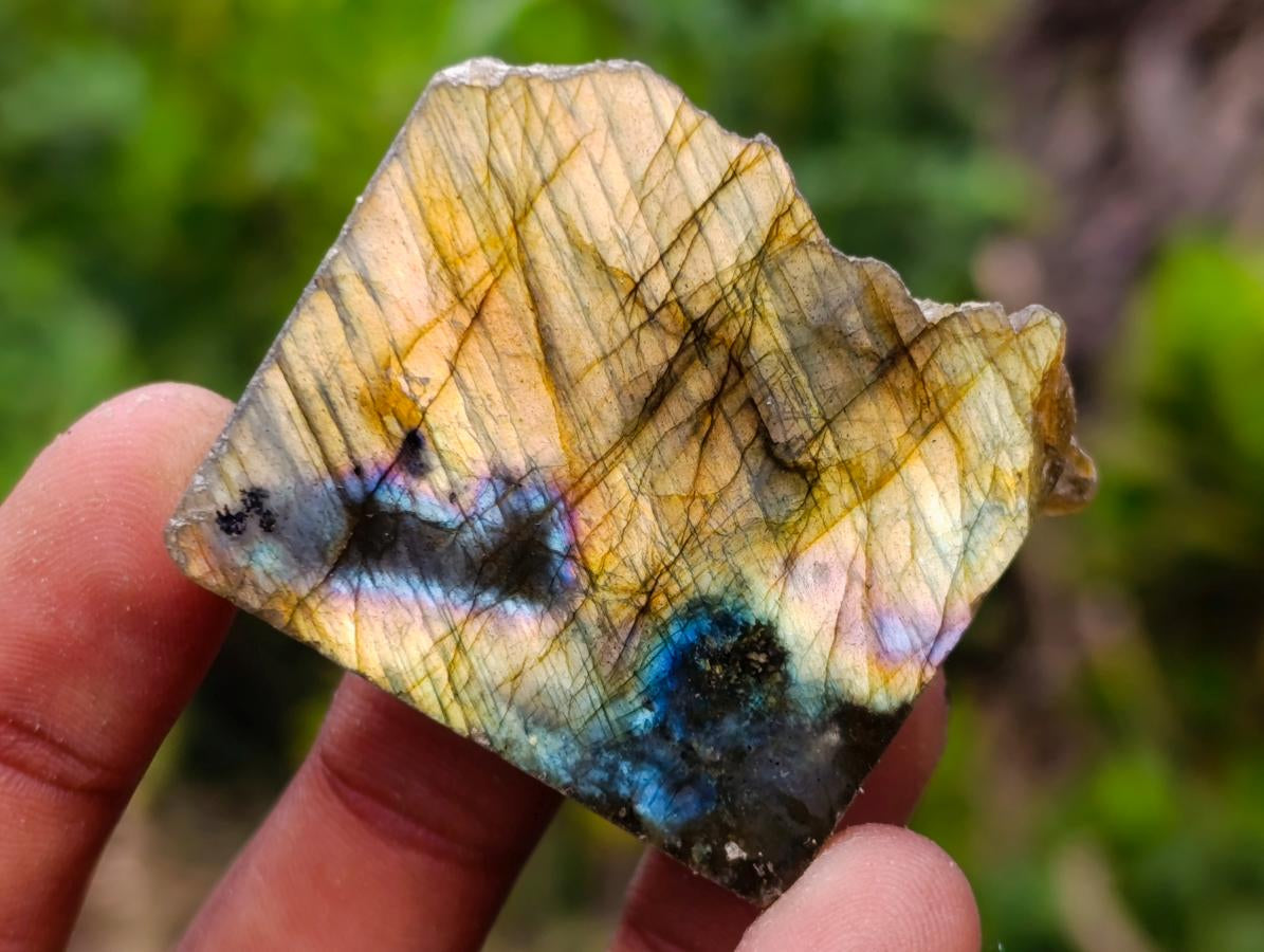 Polished One Side Labradorite Slices x 35 From Madagascar - Toprock Gemstones and Minerals 