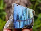 Polished One Side Labradorite Slices x 35 From Madagascar - Toprock Gemstones and Minerals 