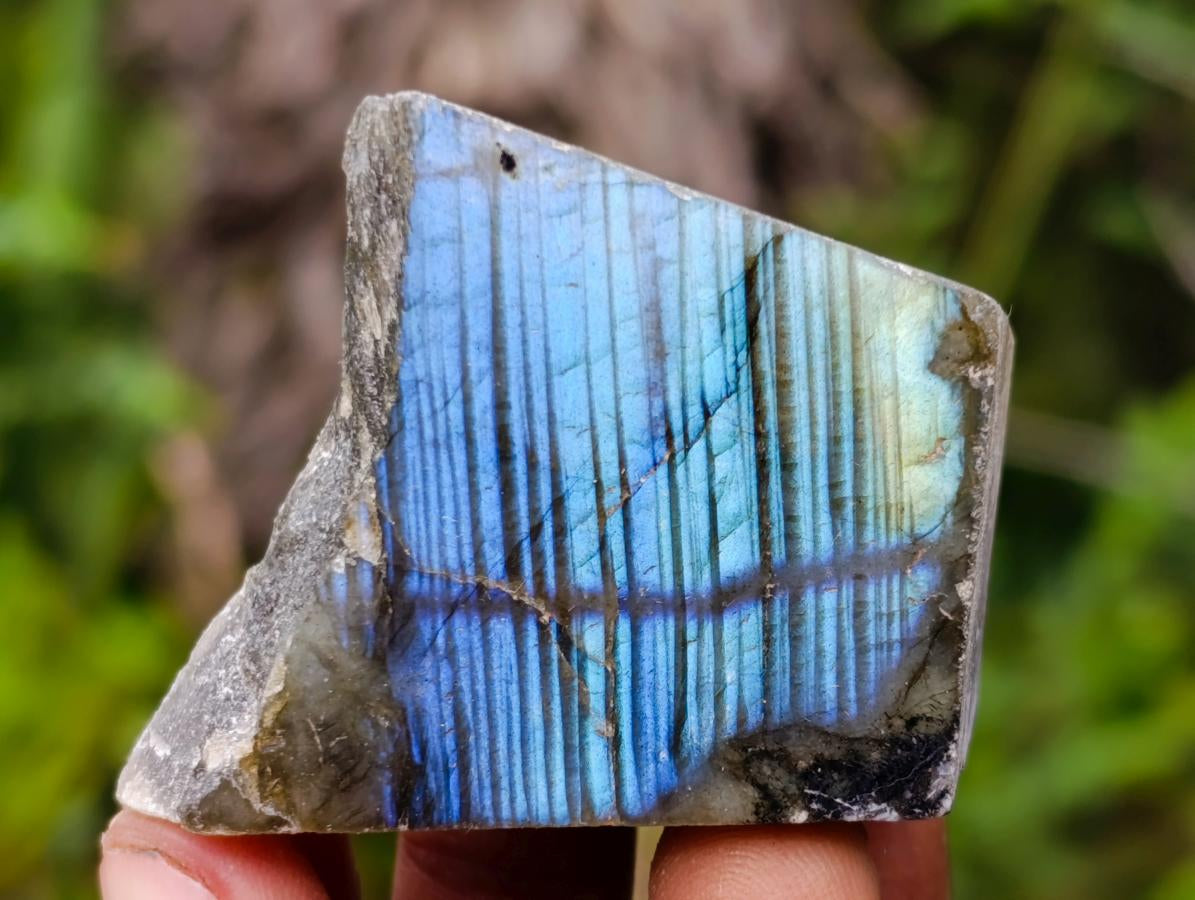 Polished One Side Labradorite Slices x 35 From Madagascar - Toprock Gemstones and Minerals 