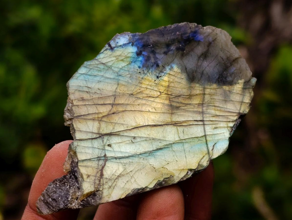 Polished One Side Labradorite Slices x 35 From Madagascar - Toprock Gemstones and Minerals 