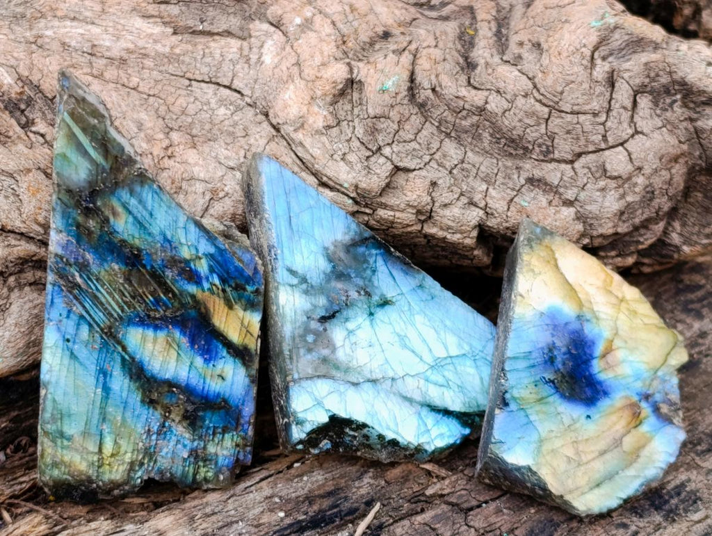 Polished One Side Labradorite Slices x 35 From Madagascar - Toprock Gemstones and Minerals 