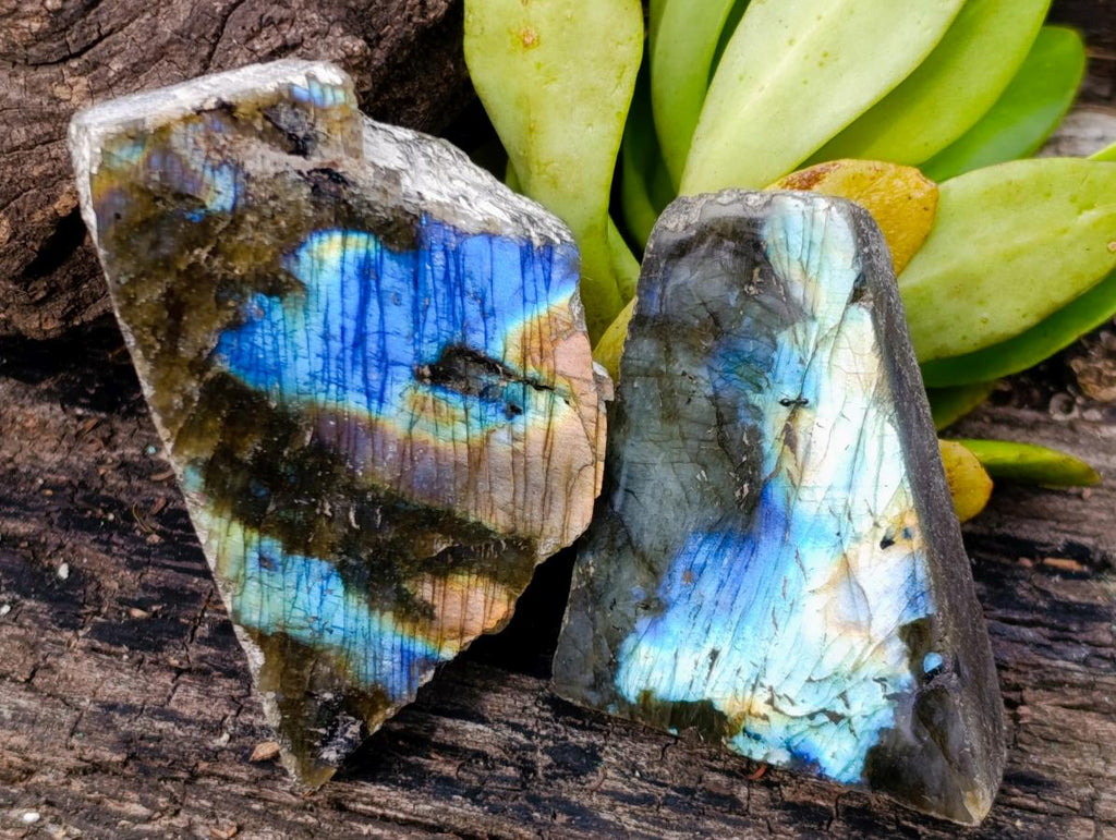 Polished One Side Labradorite Slices x 35 From Madagascar - Toprock Gemstones and Minerals 