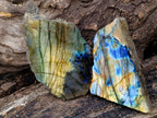 Polished One Side Labradorite Slices x 35 From Madagascar - Toprock Gemstones and Minerals 