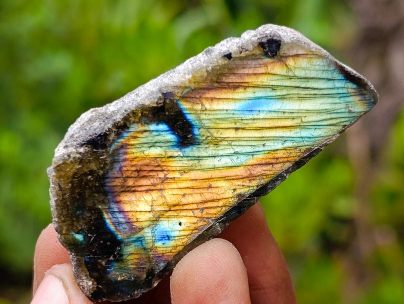 Polished One Side Labradorite Slices x 35 From Madagascar - Toprock Gemstones and Minerals 
