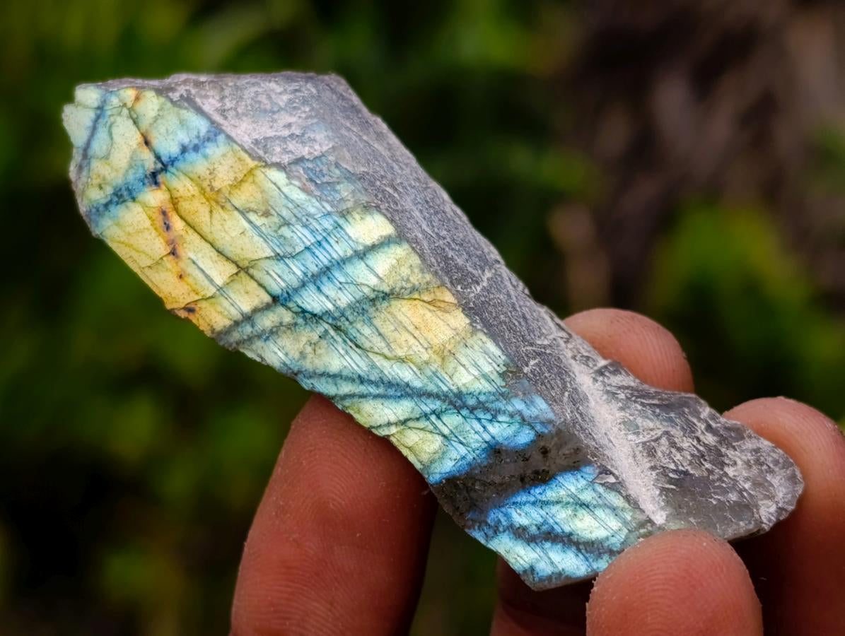Polished One Side Labradorite Slices x 35 From Madagascar - Toprock Gemstones and Minerals 