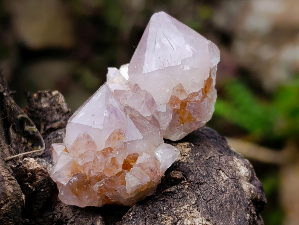 Natural Mix of Spirit Amethyst Crystals x 70 From Boekenhouthoek, South Africa - Toprock Gemstones and Minerals 