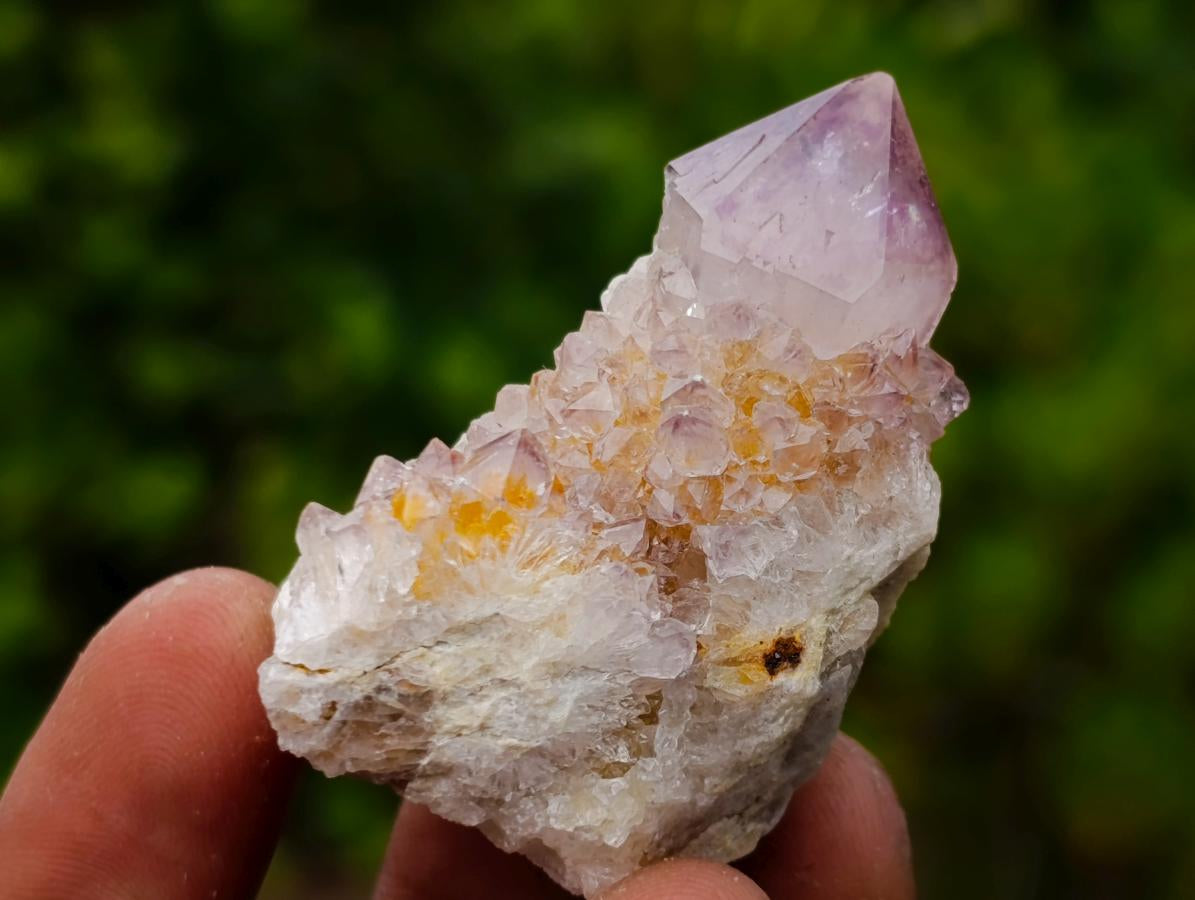 Natural Mix of Spirit Amethyst Crystals x 70 From Boekenhouthoek, South Africa - Toprock Gemstones and Minerals 