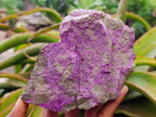 Natural Cobbed Stichtite Specimens x 3 From Barberton, South Africa - Toprock Gemstones and Minerals 
