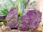 Natural Cobbed Stichtite Specimens x 3 From Barberton, South Africa - Toprock Gemstones and Minerals 