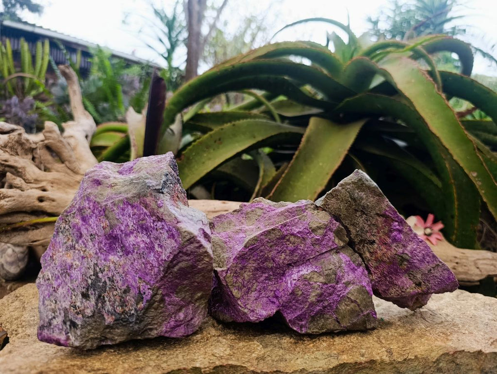 Natural Cobbed Stichtite Specimens x 3 From Barberton, South Africa - Toprock Gemstones and Minerals 