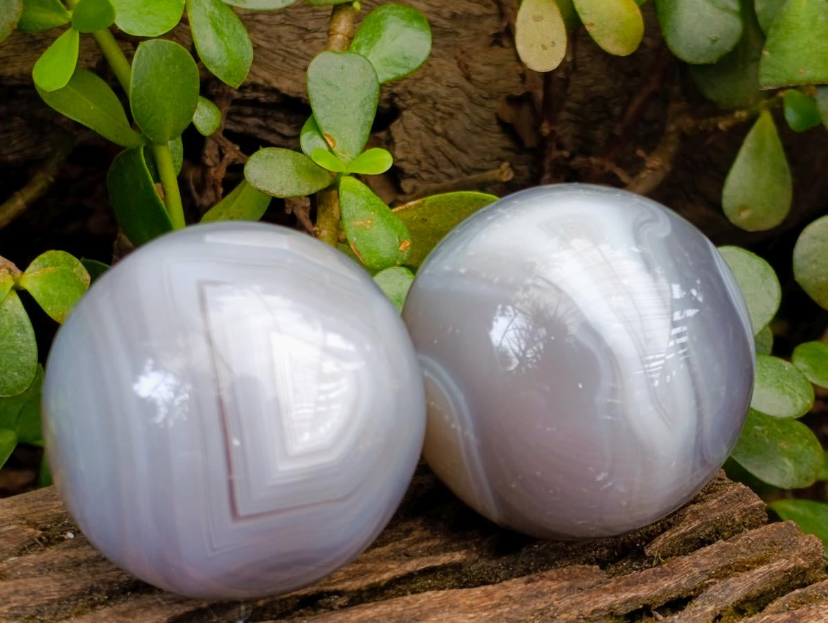 Polished Banded Agate Spheres x 6 From Madagascar - Toprock Gemstones and Minerals 