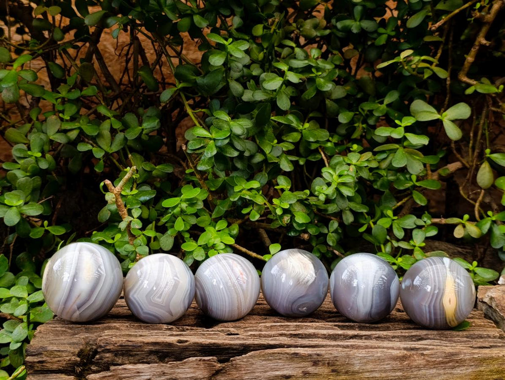 Polished Banded Agate Spheres x 6 From Madagascar - Toprock Gemstones and Minerals 