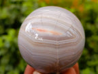 Polished Banded Agate Spheres x 6 From Madagascar - Toprock Gemstones and Minerals 
