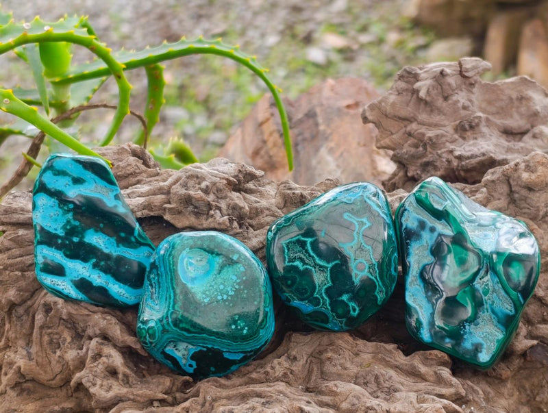 Polished Malacolla Free Forms x 20 From Kulukuluku, Congo - Toprock Gemstones and Minerals 