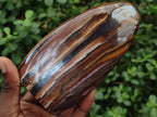 Polished Golden Tigers Eye with Banded Iron Stone Standing Display Pieces x 2 From Prieska, South Africa - Toprock Gemstones and Minerals 