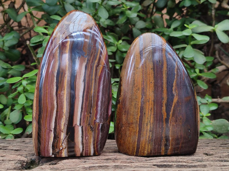 Polished Golden Tigers Eye with Banded Iron Stone Standing Display Pieces x 2 From Prieska, South Africa - Toprock Gemstones and Minerals 