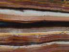 Polished Golden Tigers Eye with Banded Iron Stone Standing Display Pieces x 2 From Prieska, South Africa - Toprock Gemstones and Minerals 