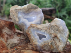 Natural Blue Lace Agate Specimens x 12 From Nsanje, Malawi - Toprock Gemstones and Minerals 